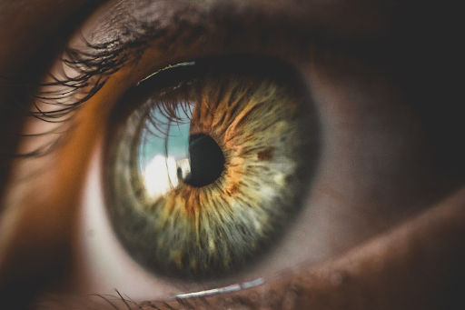 10 Best Foods To Improve Your Eyesight