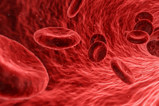 Anemia in India