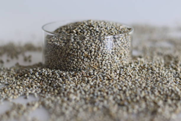 benefits-of-including-jowar