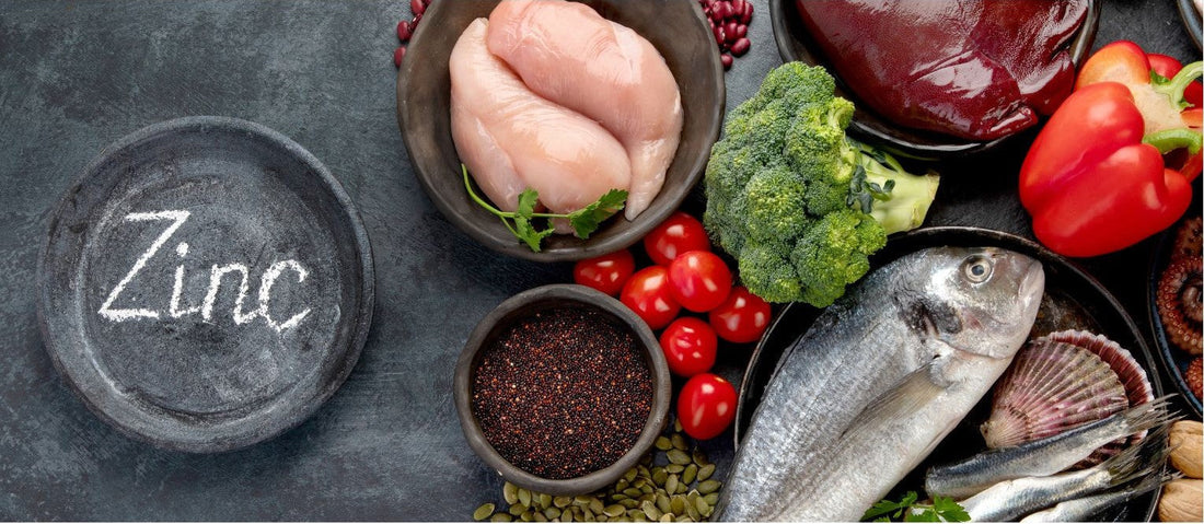 Top 20 Zinc-Rich Foods: Health Benefits & Role of Zinc in the Human Body