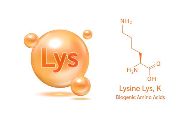 lysine-supplements-benefits-dosage-and-safety