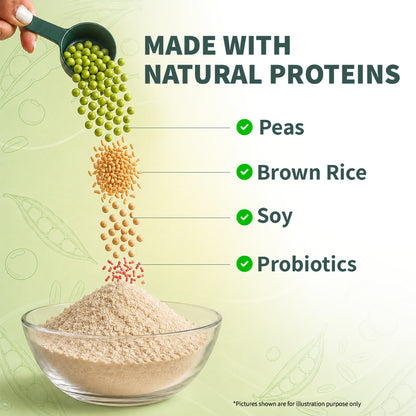 Plant Protein Powder for Rotis - Add to Atta