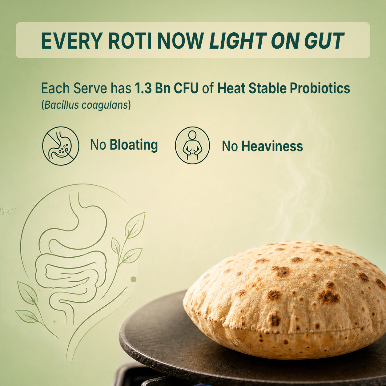 Plant Protein Powder for Rotis - Add to Atta