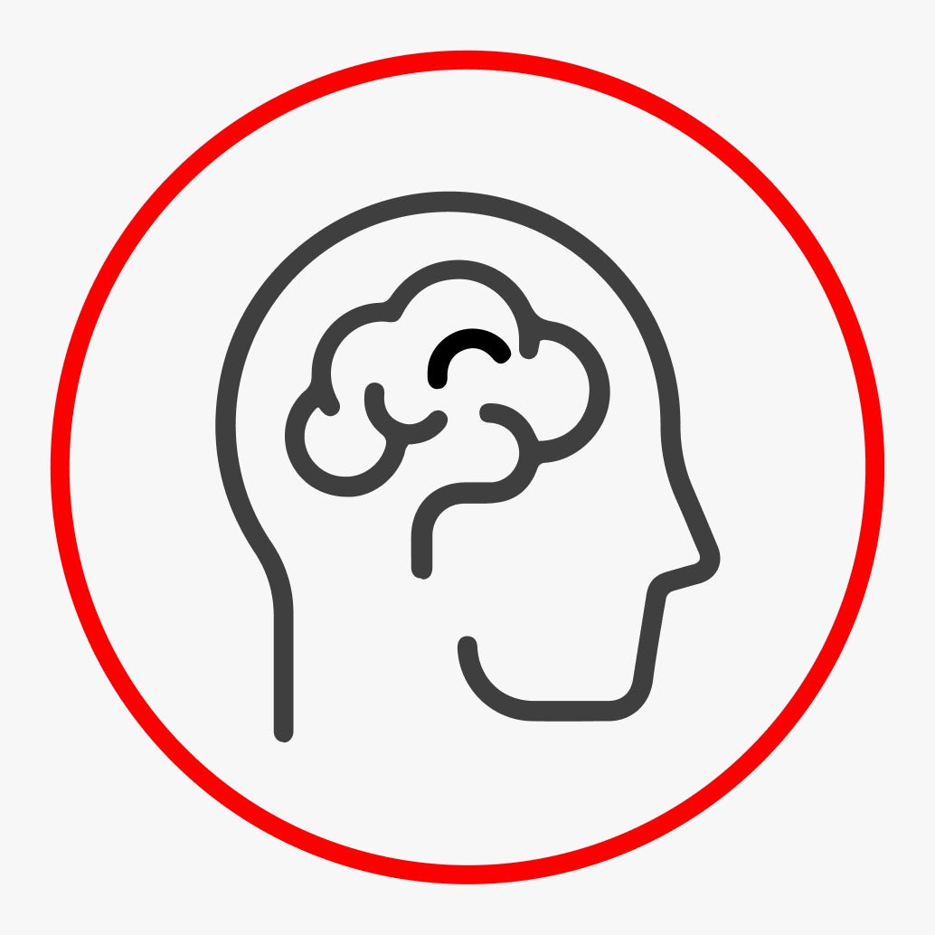 Mental Development